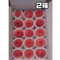 あかつき 大玉特選５キロ(フルーツキャップ詰め)２箱