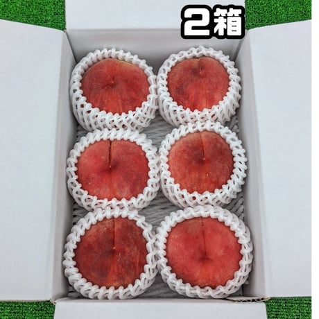 まどか ２キロ (フルーツキャップ詰め)２箱