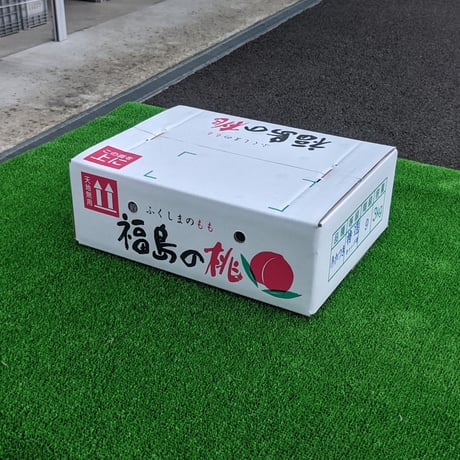 川中島白桃 ３キロ ２箱