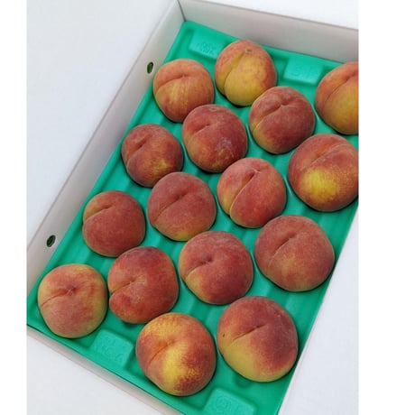 黄金桃 大玉 ５キロ ２箱