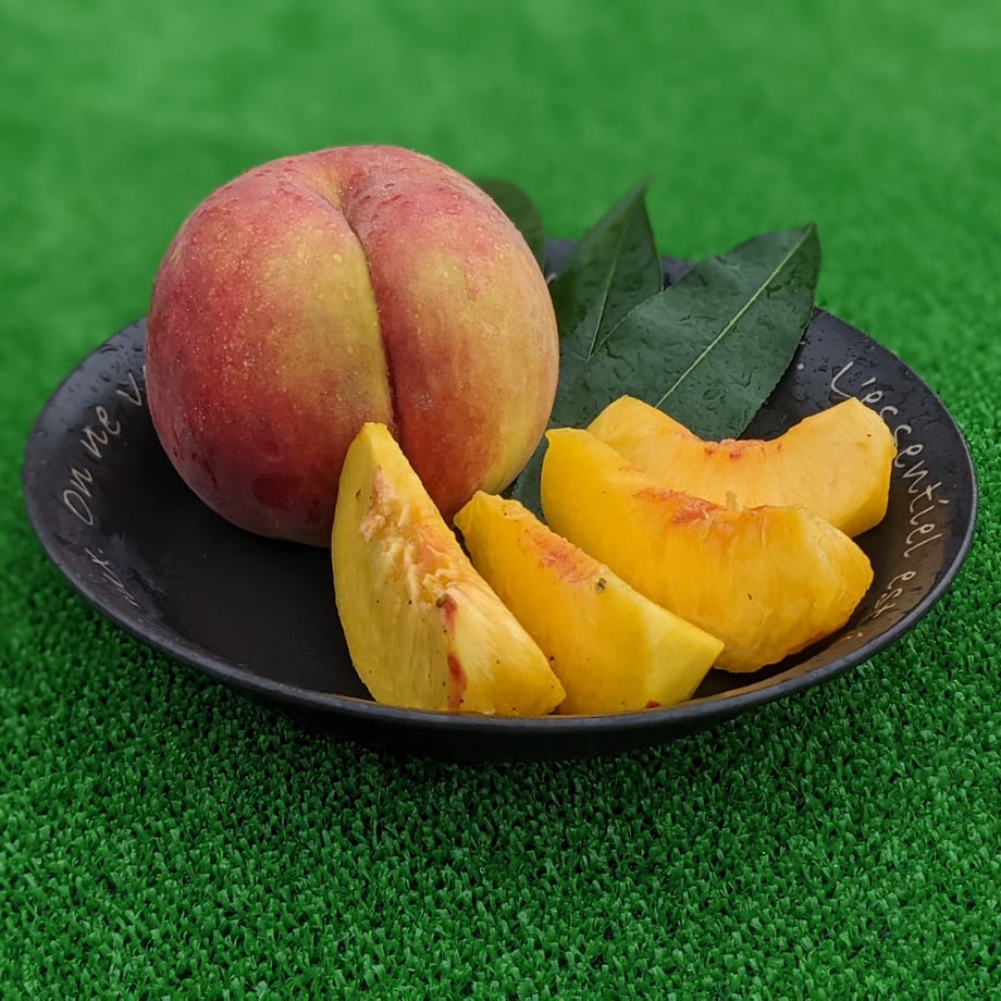 6a31326b0d04b9168cfcf191