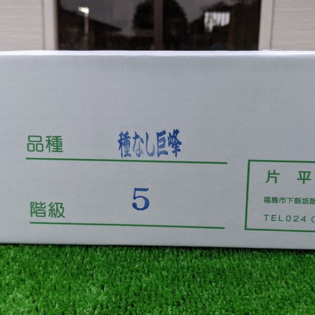 巨峰 ３キロ