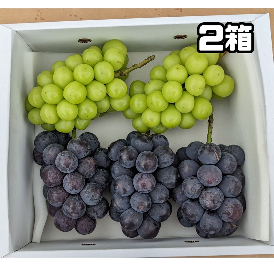 63134a29a323945364f625e9