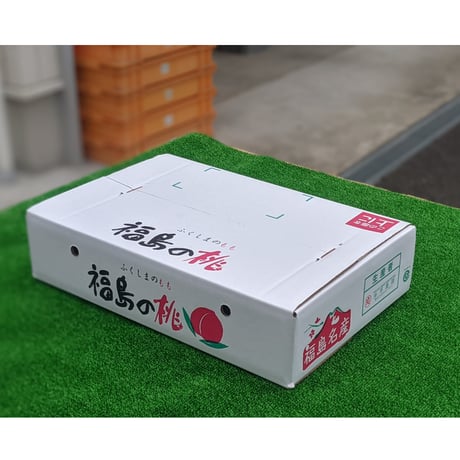 川中島白桃  大玉 ５キロ