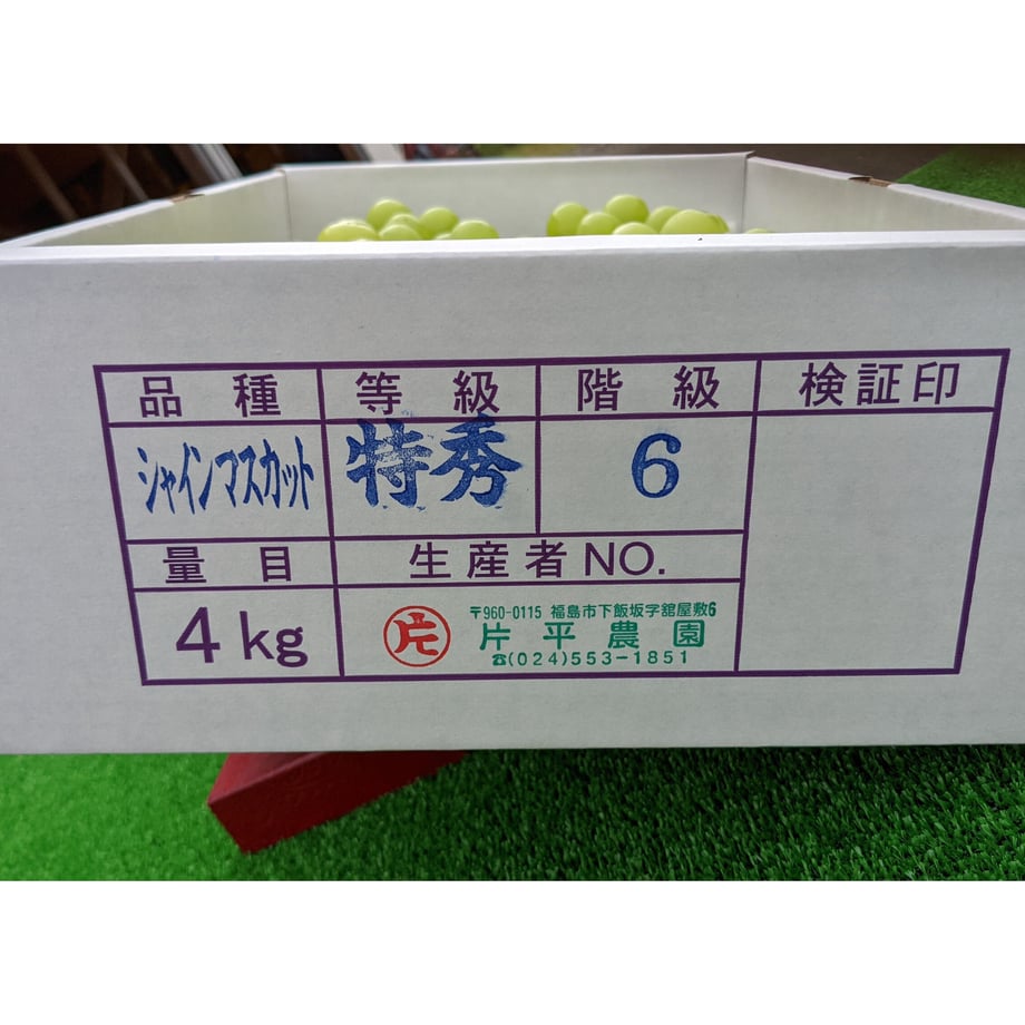631329da0f9a220a88c66ff5