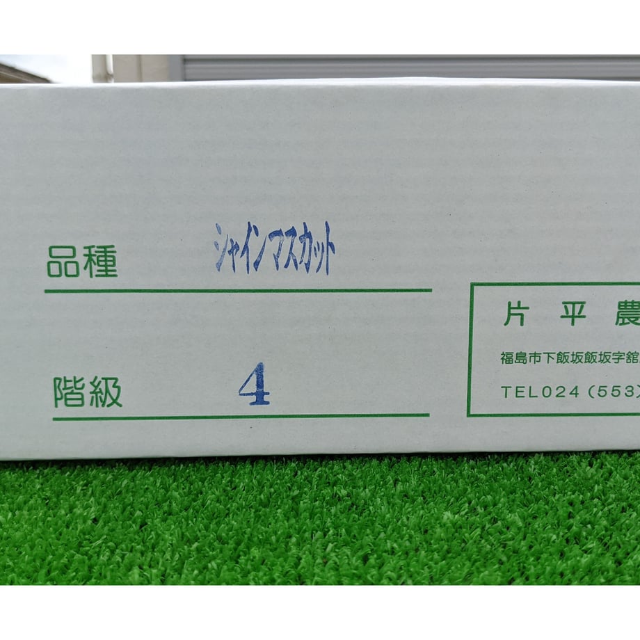 63132958fd12d17bf1044de2