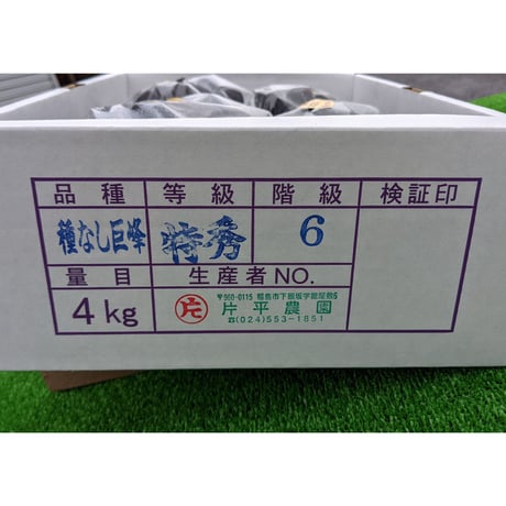 巨峰 ４キロ ２箱