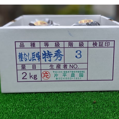 巨峰 ２キロ ２箱