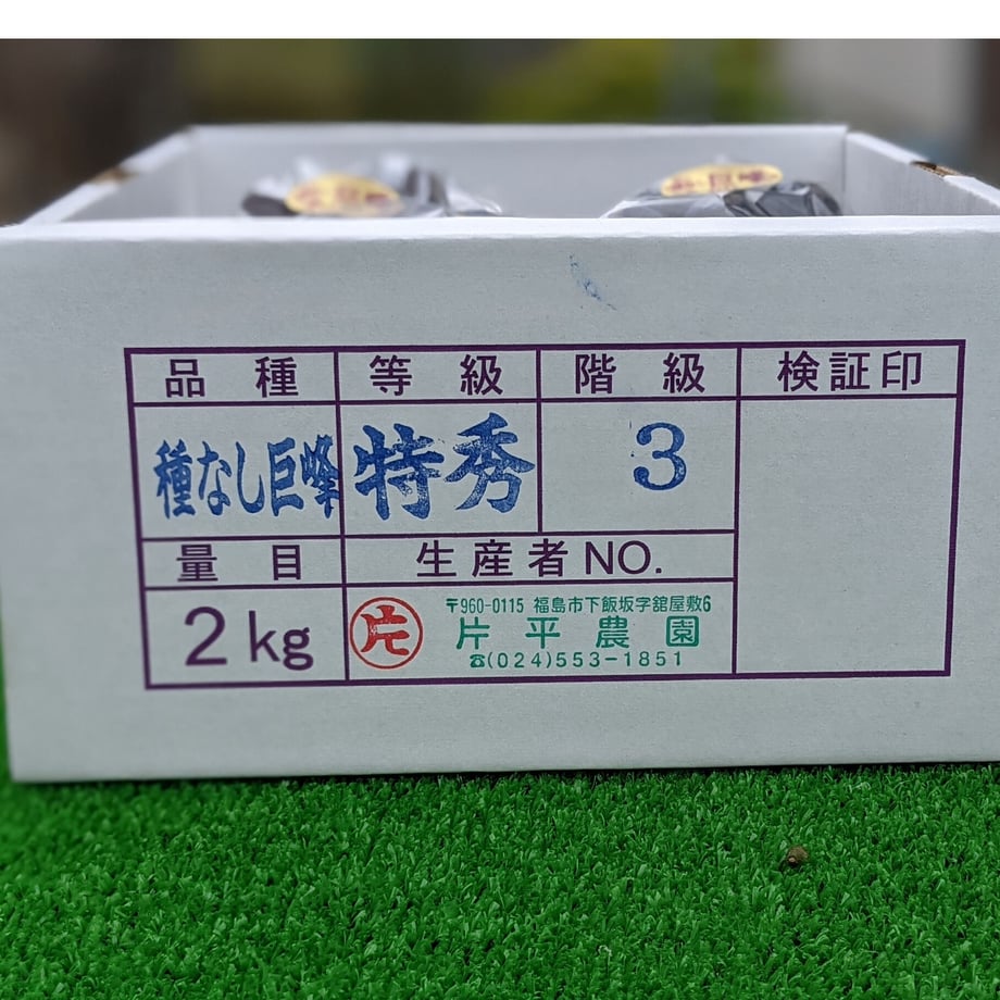 62fb4b942fc88121fa06bc07