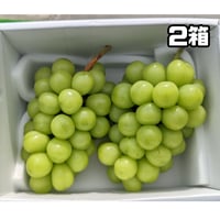シャインマスカット 特選品 化粧箱入り ２箱