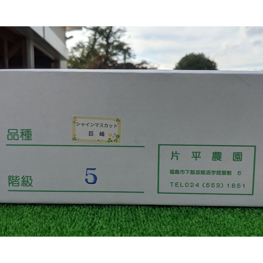 63134a29a323945364f625e9