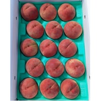 川中島白桃  大玉 ５キロ