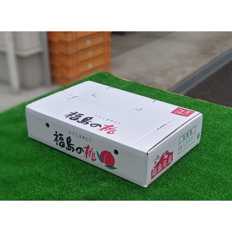 黄金桃 大玉特選５キロ(フルーツキャップ詰め)２箱
