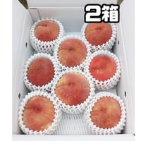 川中島白桃 大玉特選３キロ(フルーツキャップ詰め)２箱