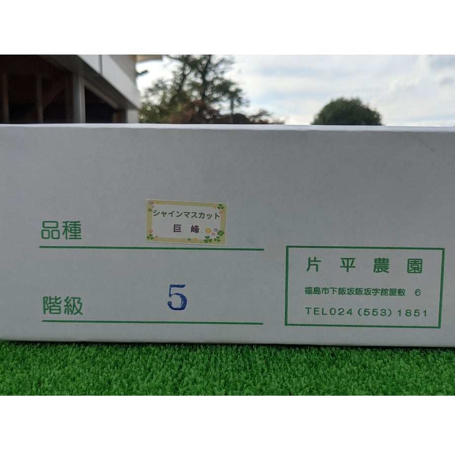 63134956a32394441ef61c4b