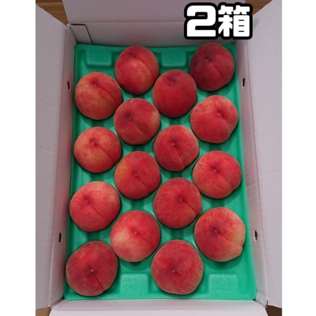 あかつき 大玉 ５キロ ２箱