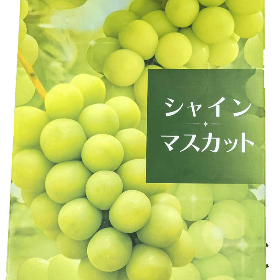 6316af2c60bab425e4b9f025