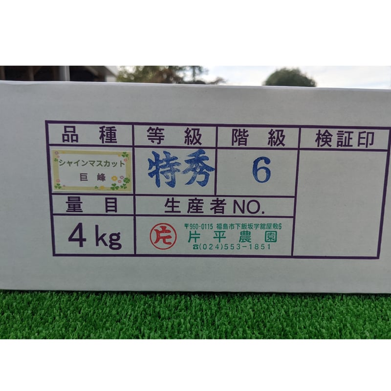 シャインマスカット＋巨峰またはピオーネ 4キロ | 片平農園