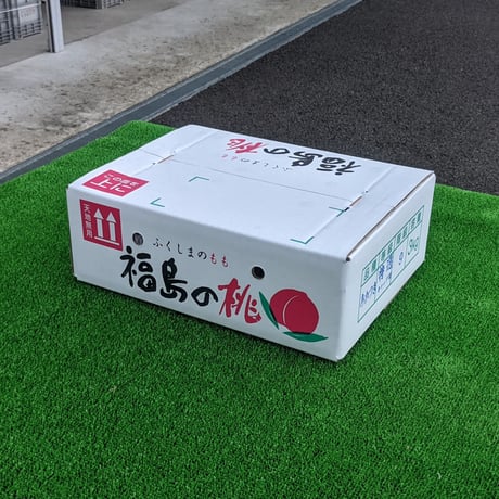 黄金桃 大玉 ３キロ ２箱