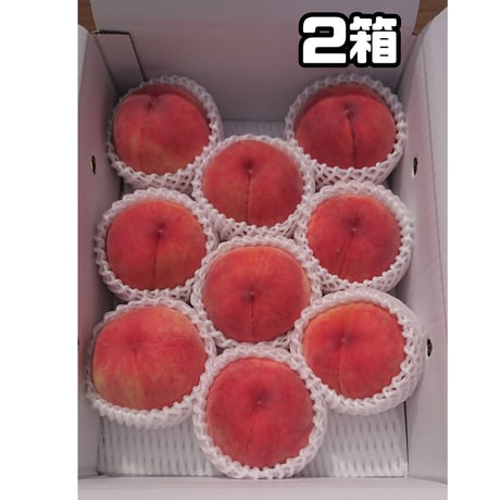 あかつき 大玉特選３キロ (フルーツキャップ詰め)２箱