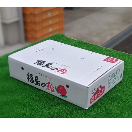黄金桃 大玉 ５キロ ２箱