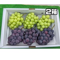 シャインマスカット＋巨峰またはピオーネ ４キロ ２箱