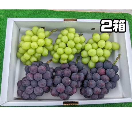 シャインマスカット＋巨峰またはピオーネ ４キロ ２箱