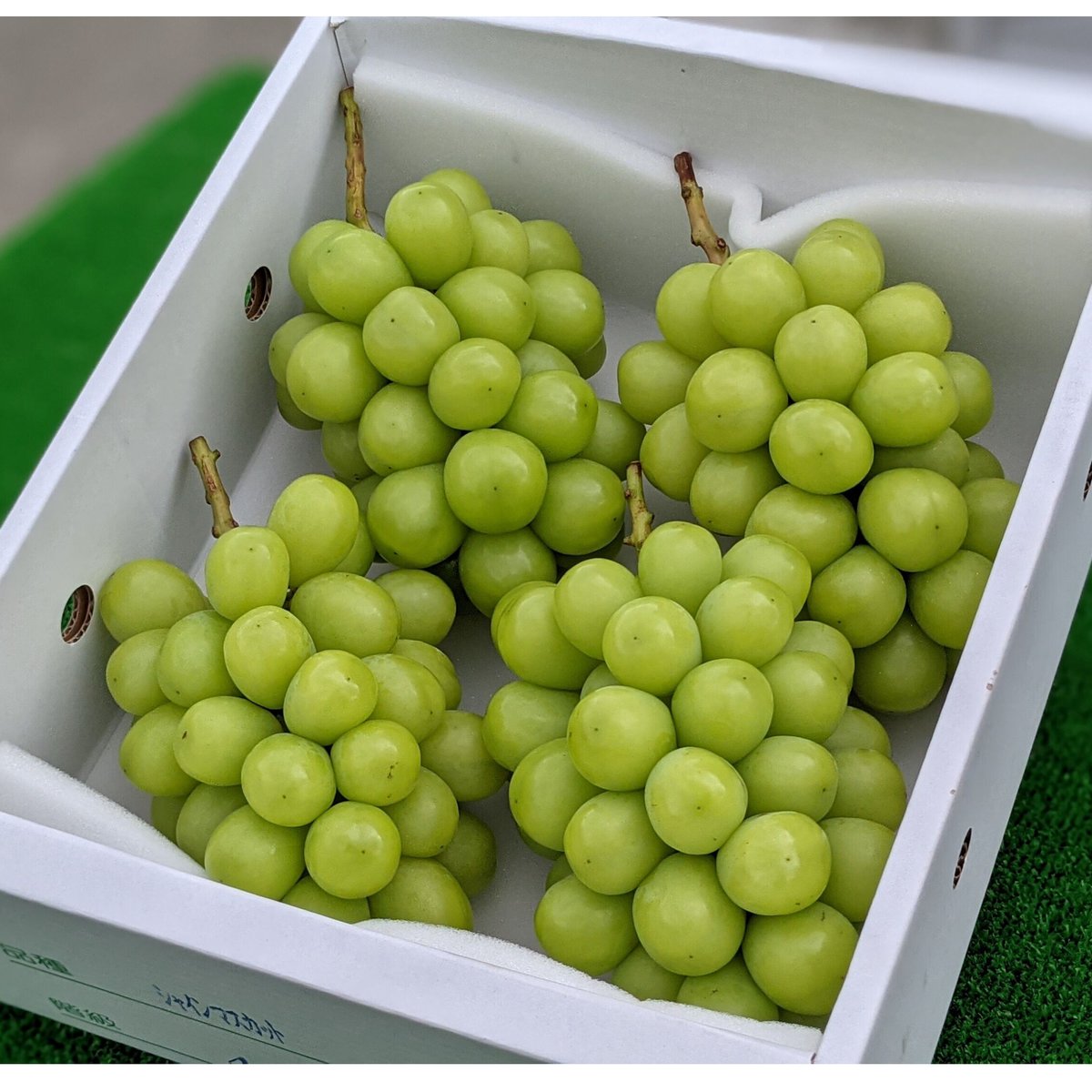 シャインマスカット 3キロ | 片平農園