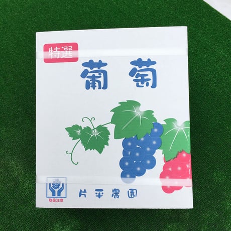 ３種ミックス ２箱 【数量限定】