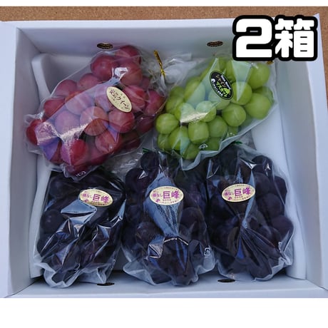 ３種ミックス ２箱 【数量限定】