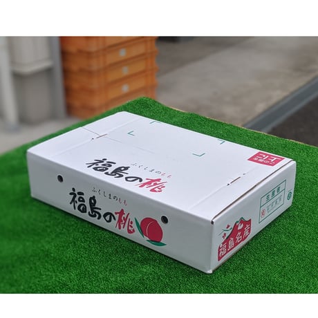 川中島白桃 大玉特選５キロ  (フルーツキャップ詰め)
