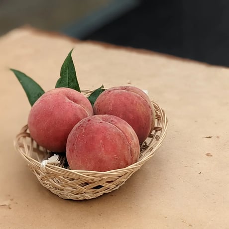 川中島白桃 ２キロ(フルーツキャップ詰め)