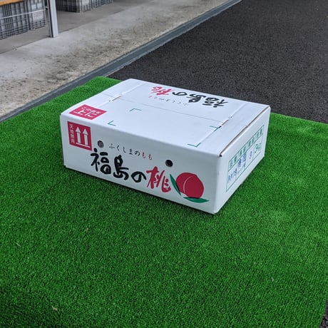 黄金桃 大玉特選３キロ (フルーツキャップ詰め)２箱