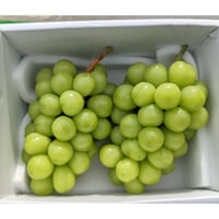 シャインマスカット 特選品 化粧箱入り