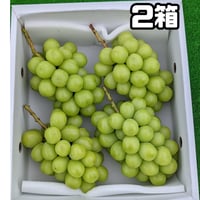 シャインマスカット粒　４　キロ シャインマスカット 4キロ | 片平農園