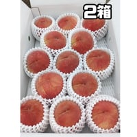 川中島白桃 大玉特選５キロ (フルーツキャップ詰め)２箱
