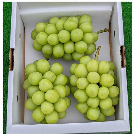 シャインマスカット ２キロ