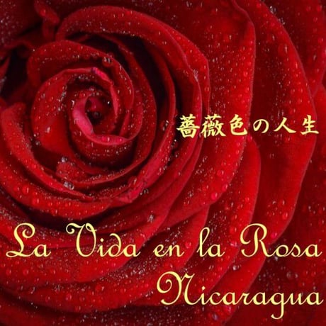 【ニカラグア／ブルボン・薔薇色の人生】中煎り　２００ｇ