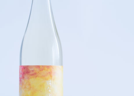 はなえみ HIYAOROSHI sense of SAKE