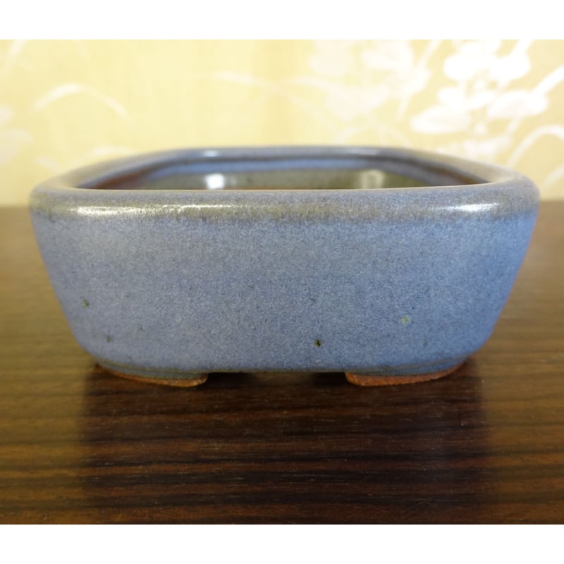 盆栽鉢 風香 外縁 長方鉢 釉薬 【公式通販】