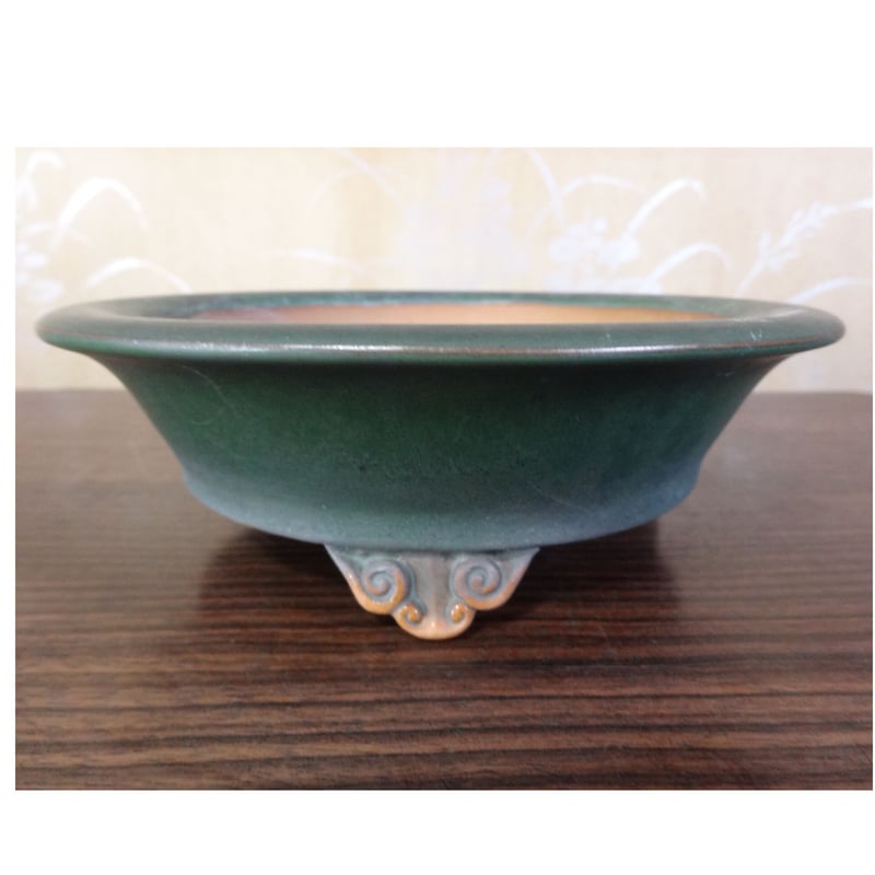 盆栽 鉢 美芸(8) (美芸 緑釉反縁雲足丸鉢 | 盆栽鉢のお店) 盆栽 鉢 美芸(8) (美芸 緑釉反縁雲足丸鉢 | 盆栽鉢のお店)