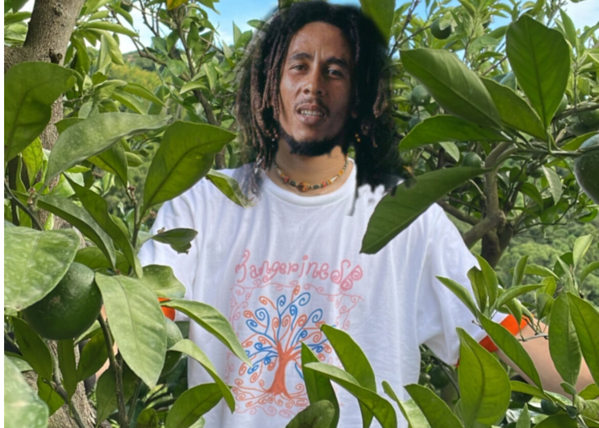 Tangerine sb リンガーツルtシャツ | orchard.uwajima