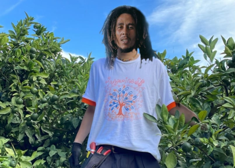 Tangerine sb リンガーツルtシャツ | orchard.uwajima