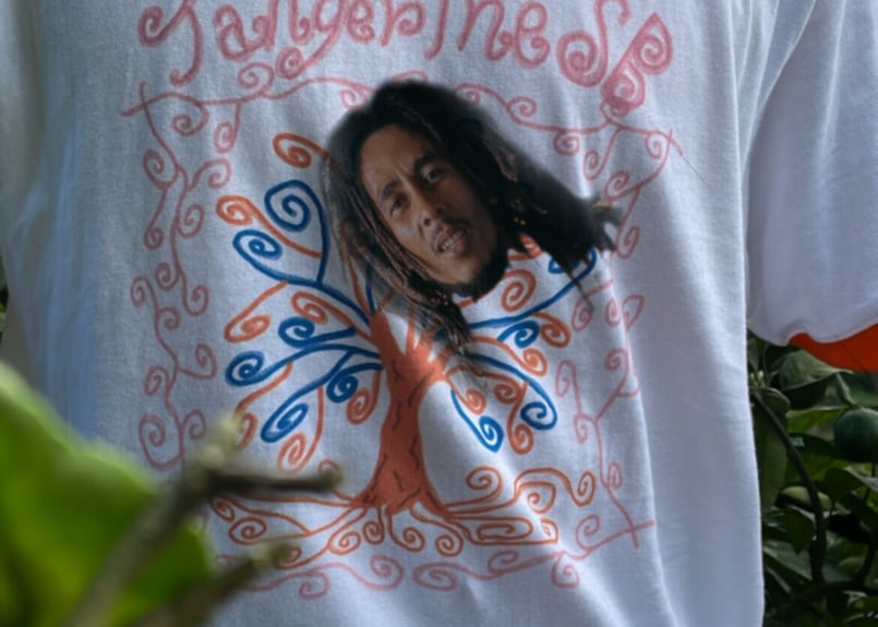 トロピカルフルーツTシャツ Tangerine sb リンガーツルtシャツ | orchard.uwajima