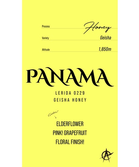 Panama Lerida Lot229, Geisha - Honey
