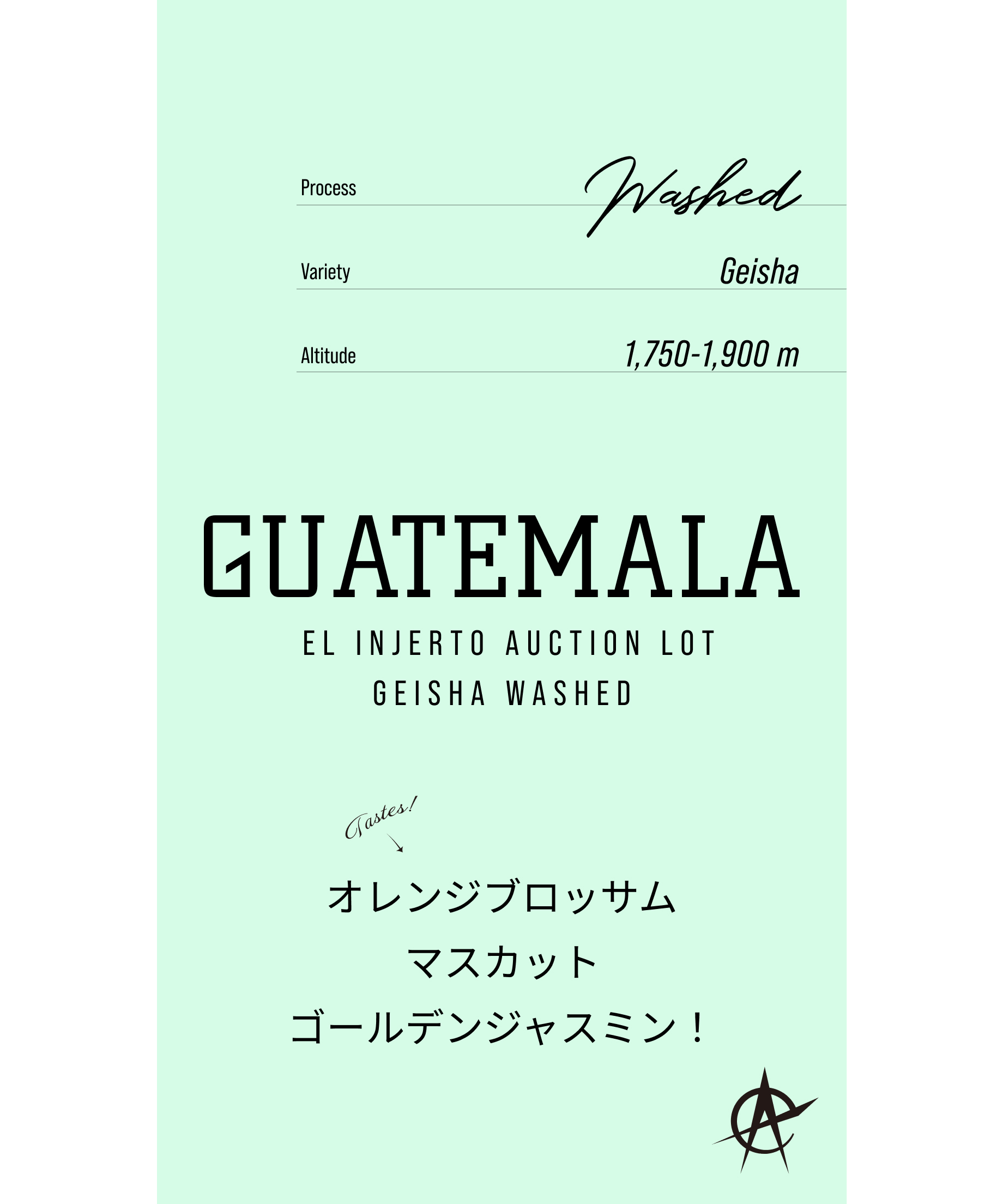 ラストバッチ！】Guatemala El Injerto Auction Lot, Geis