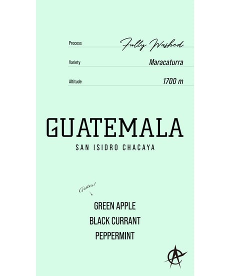 Guatemala San Isidro Chacaya, Maracaturra - Fully Washed