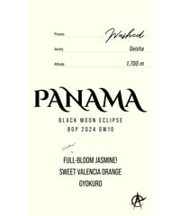 Panama Longboard Misty Mountain, Geisha - Washe