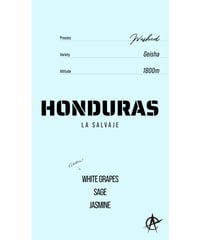 Honduras La Salvaje, Geisha - Washed