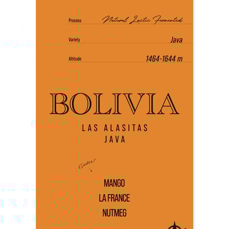 Bolivia Las Alasitas, Java - Natural / Lactic Fermented